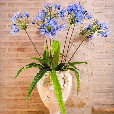 Country house Garden Cactus Villaggio Mose (Sicily)