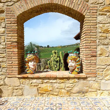Garden Cactus Country house *
