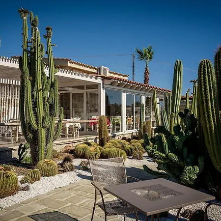 Garden Cactus Country house Villaggio Mose (Sicily)