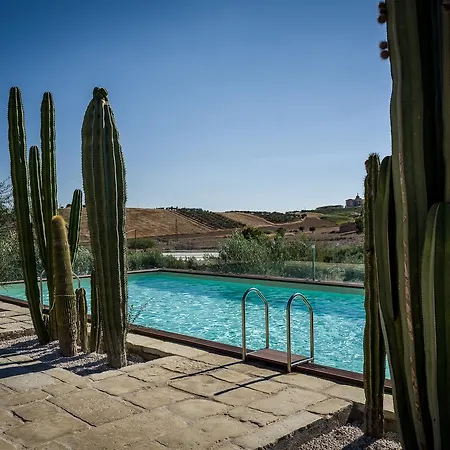 Garden Cactus Country house