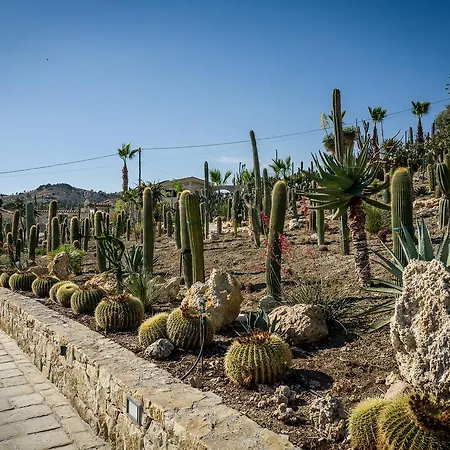 Garden Cactus Country house