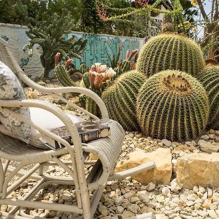 Garden Cactus